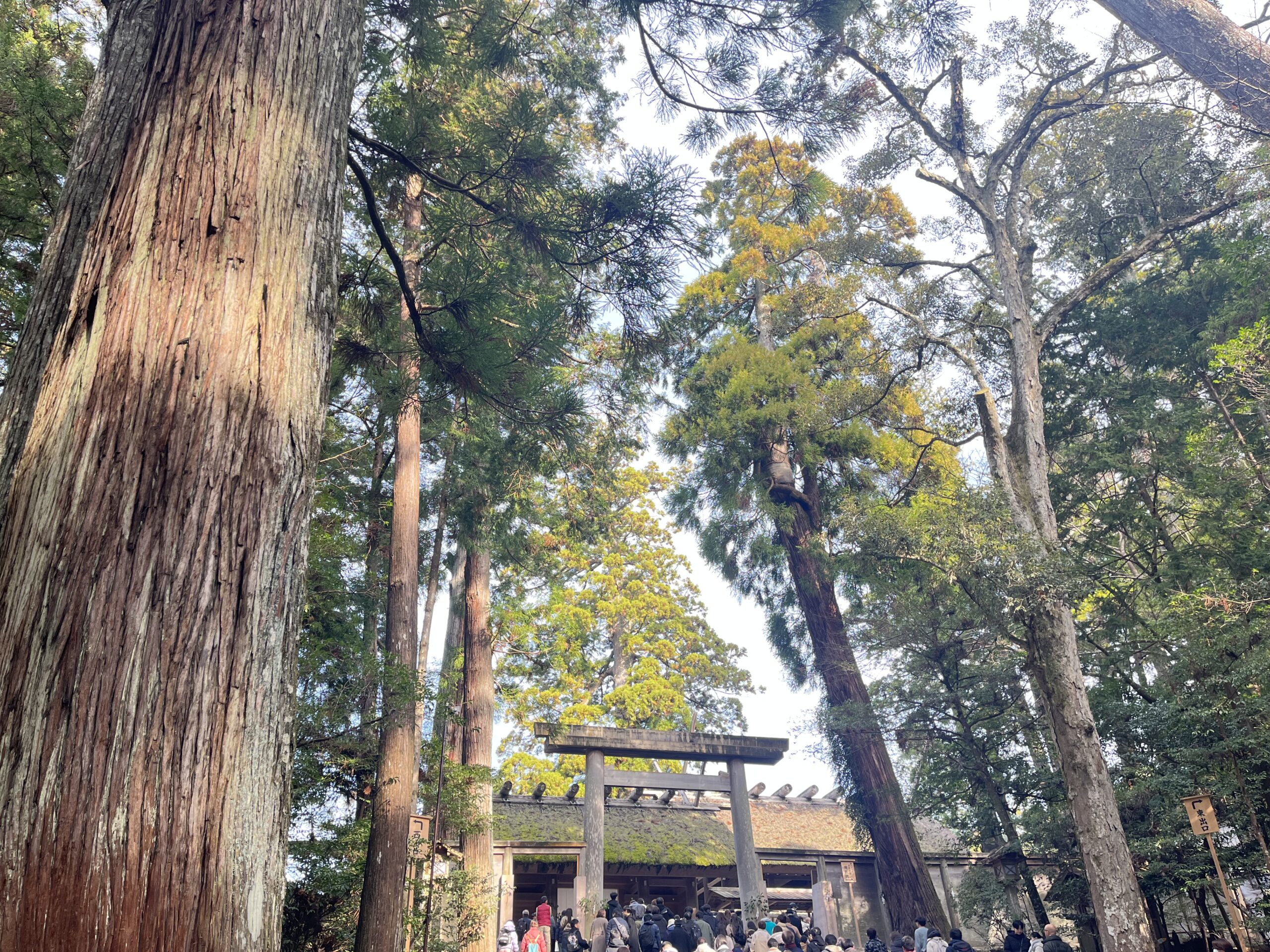伊勢神宮内宮正宮